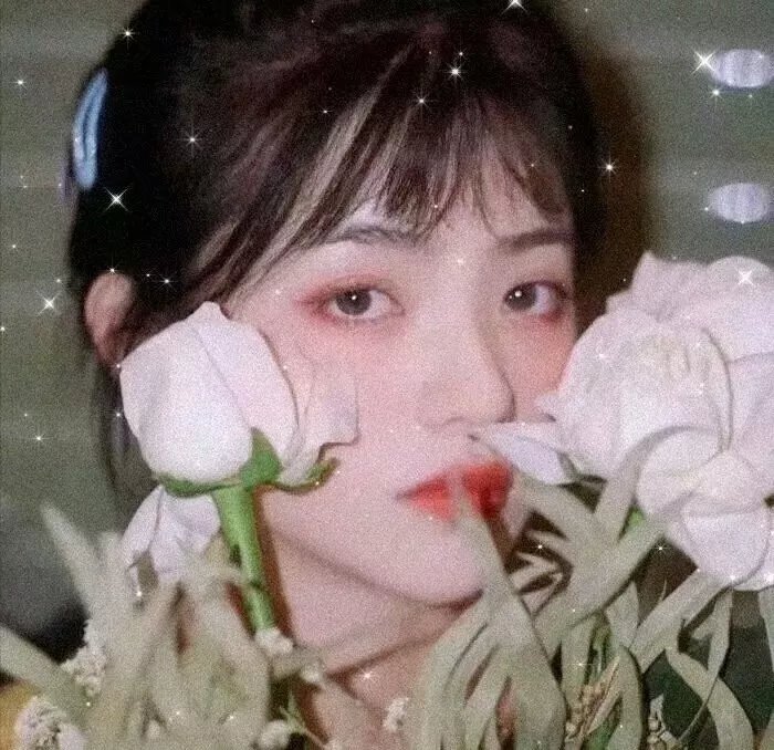 我的半熟恋人